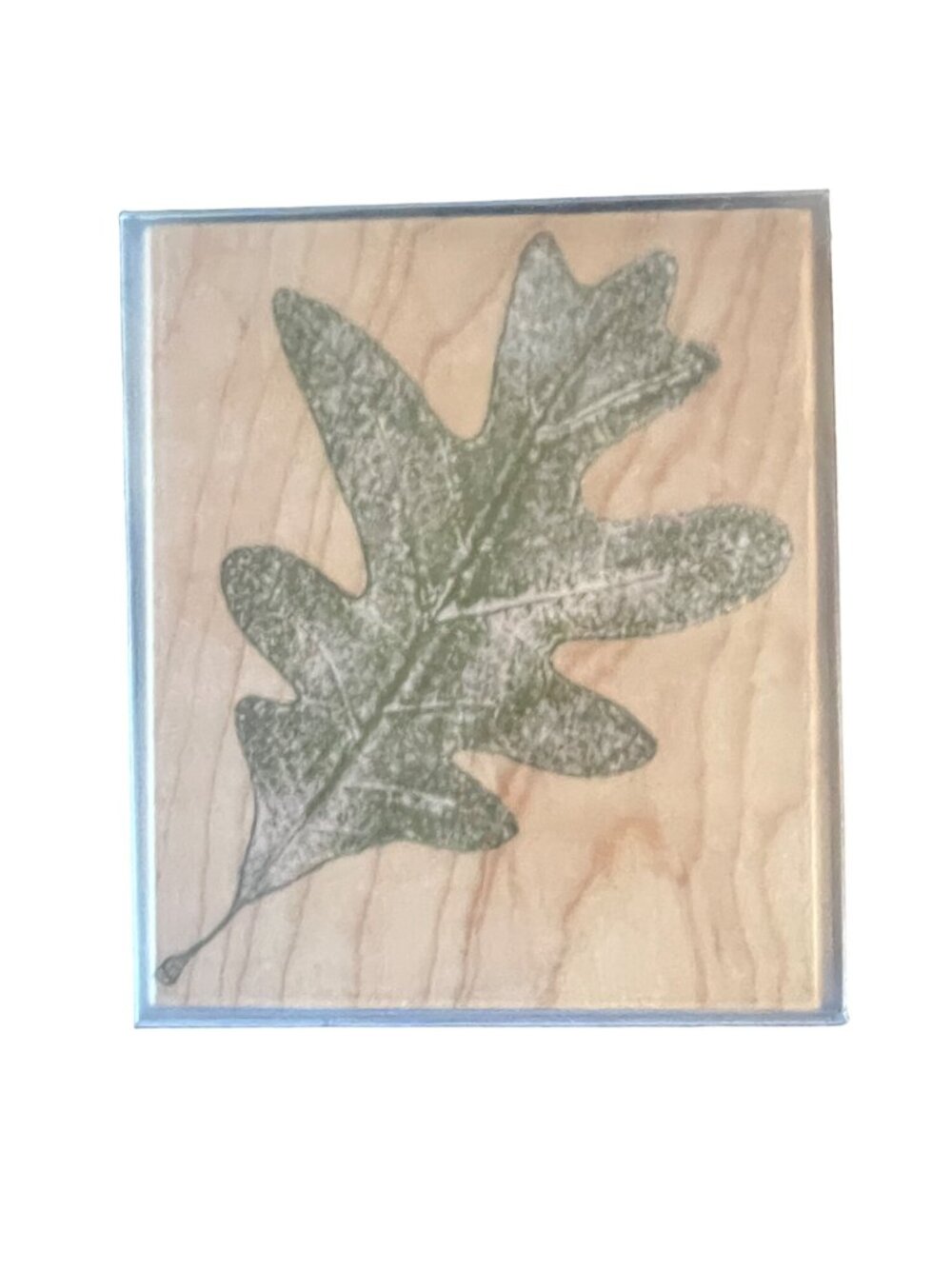Hero Arts Leaf Impressions Oak Leaf Rubber Stamp N2104